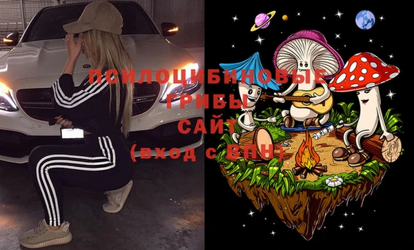 индика Лихославль
