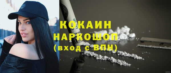 индика Лихославль