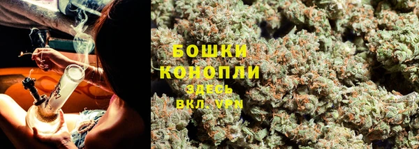 индика Лихославль