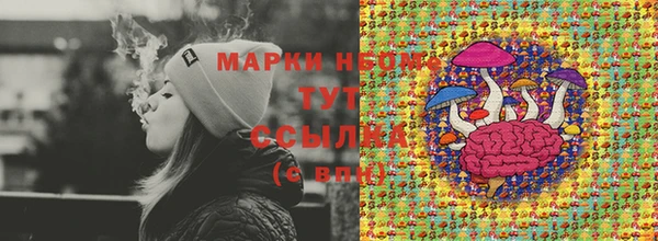 индика Лихославль