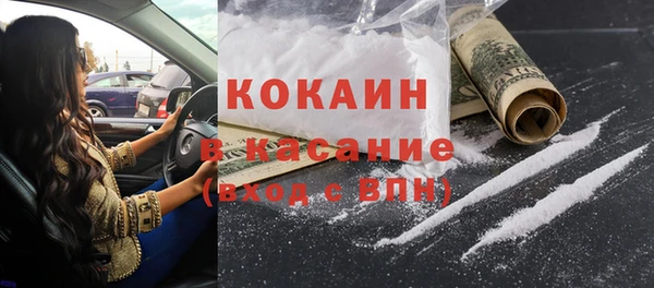индика Лихославль