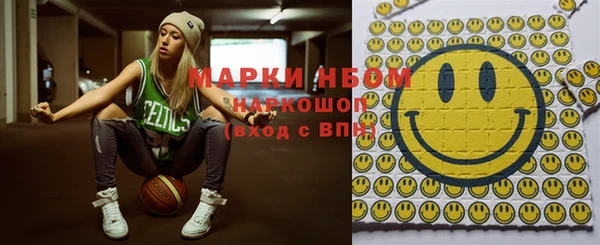 индика Лихославль