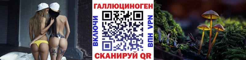 omg tor  Южно-Сухокумск  Псилоцибиновые грибы прущие грибы 